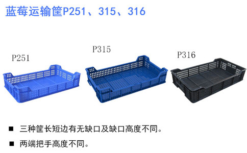 營(yíng)口塑料筐型號(hào),藍(lán)莓筐新款-沈陽興隆瑞